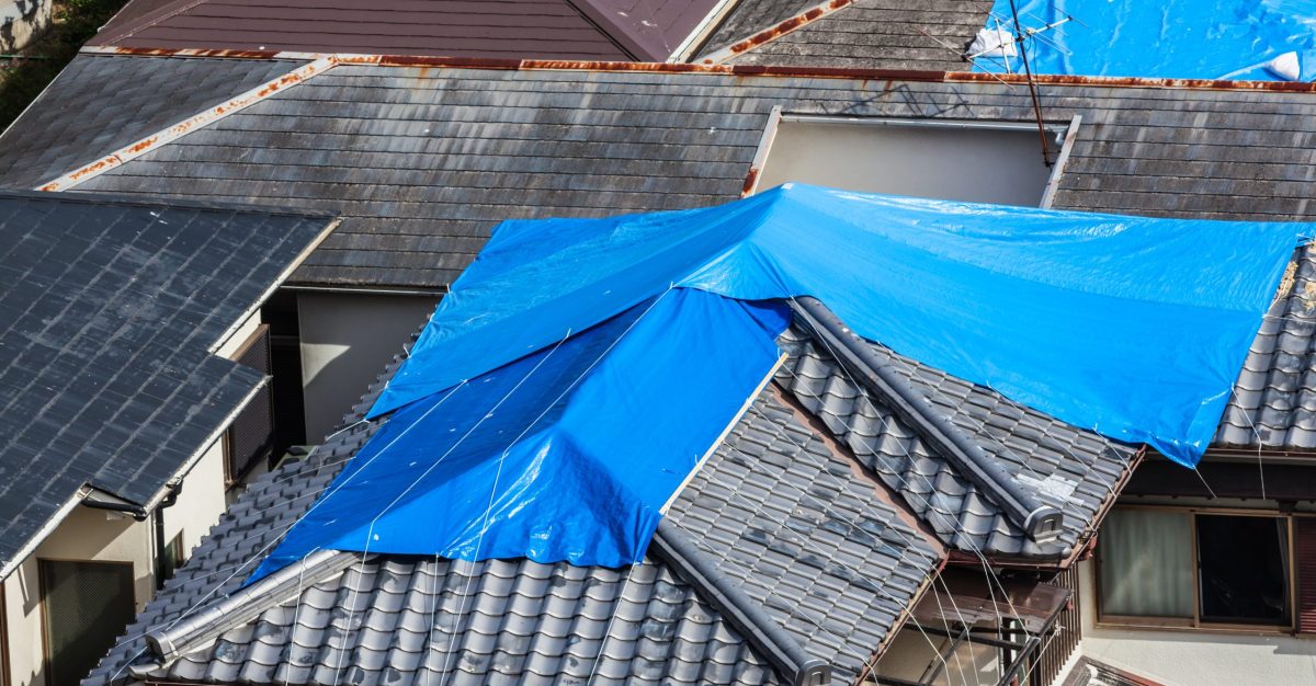 Houses with tiled roof covered by blue sheet after hurricane